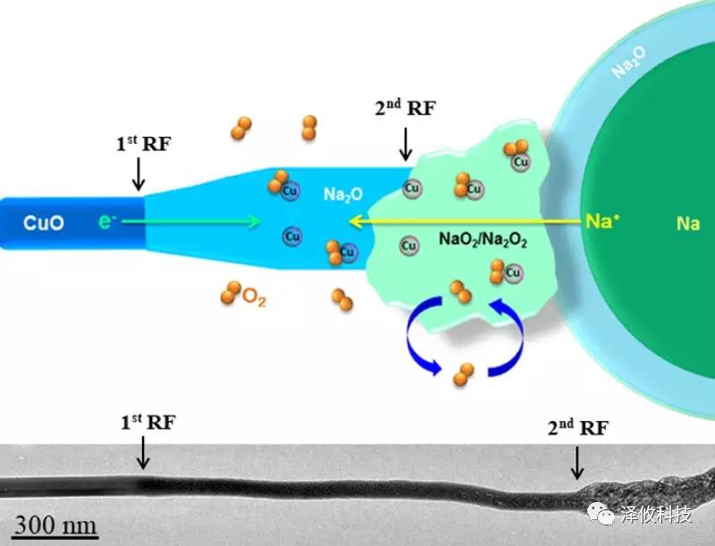 Nano Letter:澤攸科技原位系統(tǒng)應(yīng)用于固態(tài)氧鈉電池(圖2) PicoFemto系列原位樣品桿研究實(shí)驗(yàn)圖1