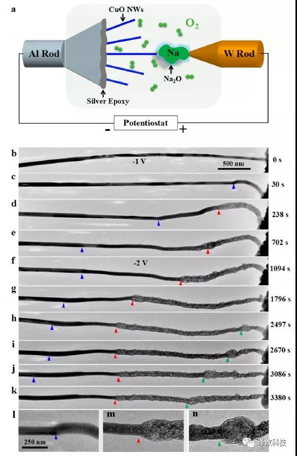 Nano Letter:澤攸科技原位系統(tǒng)應(yīng)用于固態(tài)氧鈉電池(圖3) PicoFemto系列原位樣品桿研究實(shí)驗(yàn)圖2