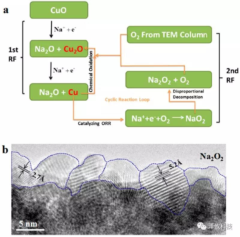 Nano Letter:澤攸科技原位系統(tǒng)應(yīng)用于固態(tài)氧鈉電池(圖7) PicoFemto系列原位樣品桿研究實(shí)驗(yàn)圖7