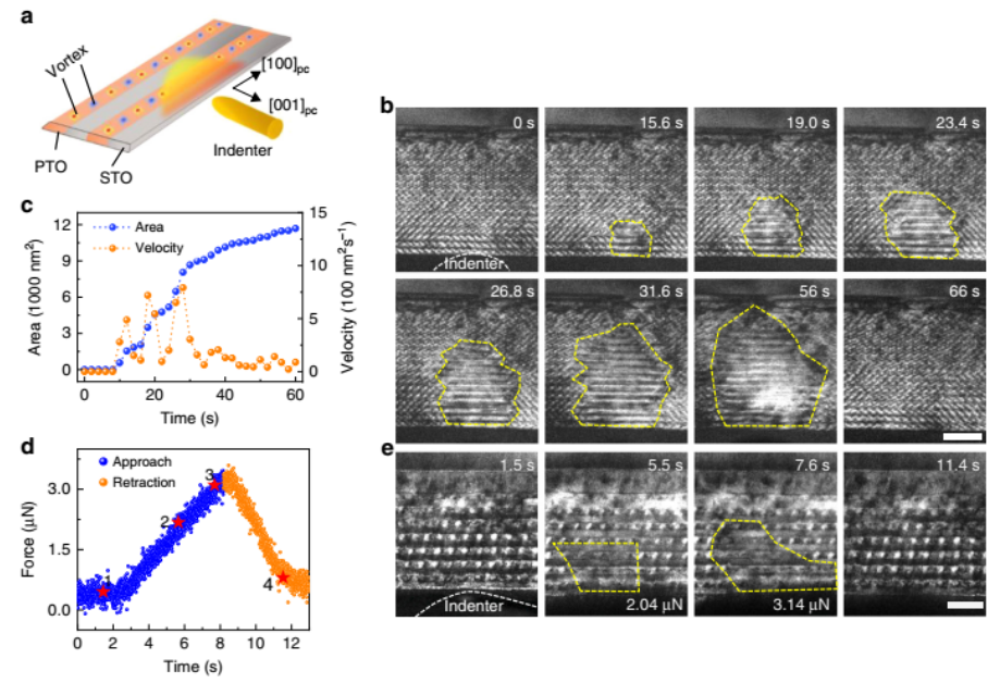 Nature Commun.:物理所揭示原子分辨下的鐵電渦旋疇的原位力學(xué)轉(zhuǎn)變過(guò)程(圖4) 原位TEM研究實(shí)驗(yàn)方法圖4:渦旋疇在外力作用下的轉(zhuǎn)變