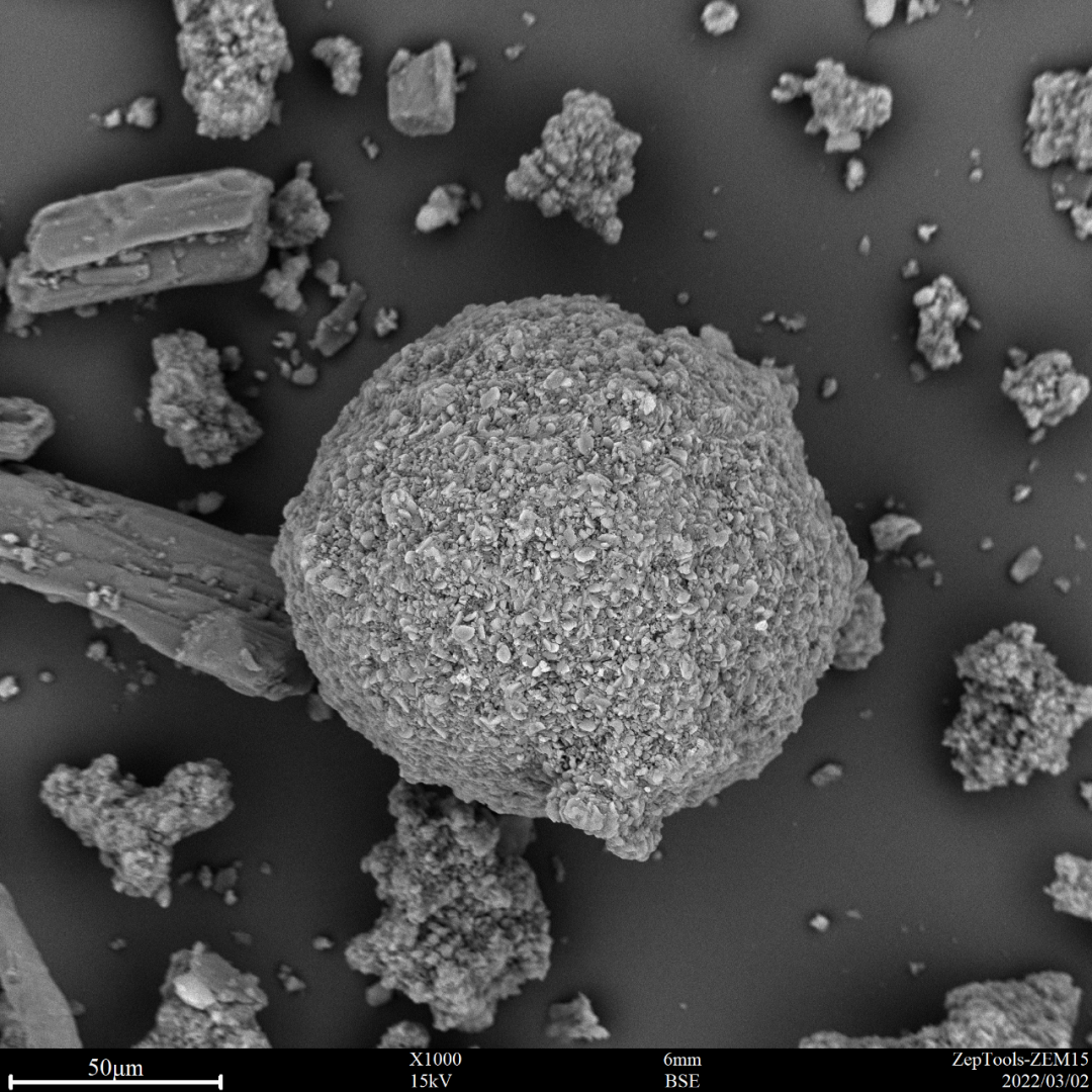 圖2 頭孢(臺(tái)式掃描電鏡1000倍照) 圖2 頭孢(臺(tái)式掃描電鏡1000倍照)