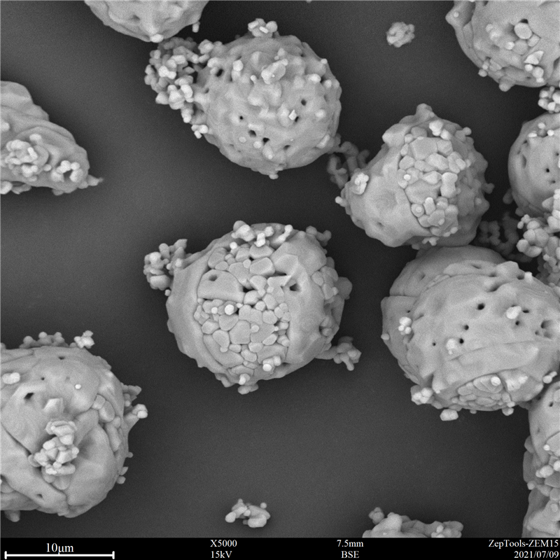國產(chǎn)臺式掃描電鏡-掃描電鏡價格-廠家直銷(圖10) 臺式掃描電鏡應(yīng)用3.png