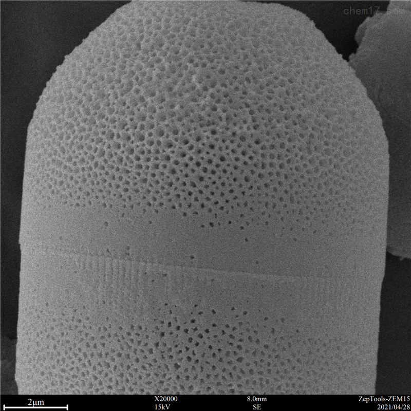 國產(chǎn)臺式掃描電鏡-掃描電鏡價格-廠家直銷(圖11) 臺式掃描電鏡應(yīng)用4.png