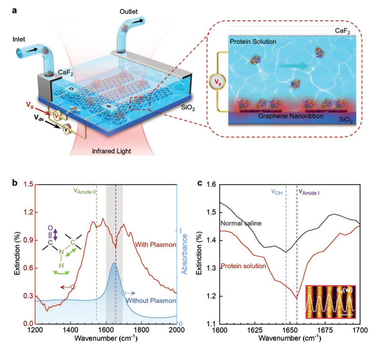 Adv. Mater.:國(guó)家納米中心利用紅外光譜原位識(shí)別液體中的納米級(jí)生物分子(圖4) 圖3 可調(diào)諧石墨烯等離激元增強(qiáng)紅外光譜平臺(tái).png