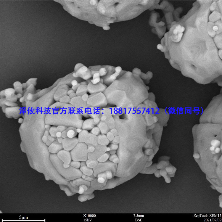環(huán)境對(duì)臺(tái)式掃描電鏡會(huì)產(chǎn)生哪些影響?(圖1) 掃描電鏡拍攝圖13.jpg