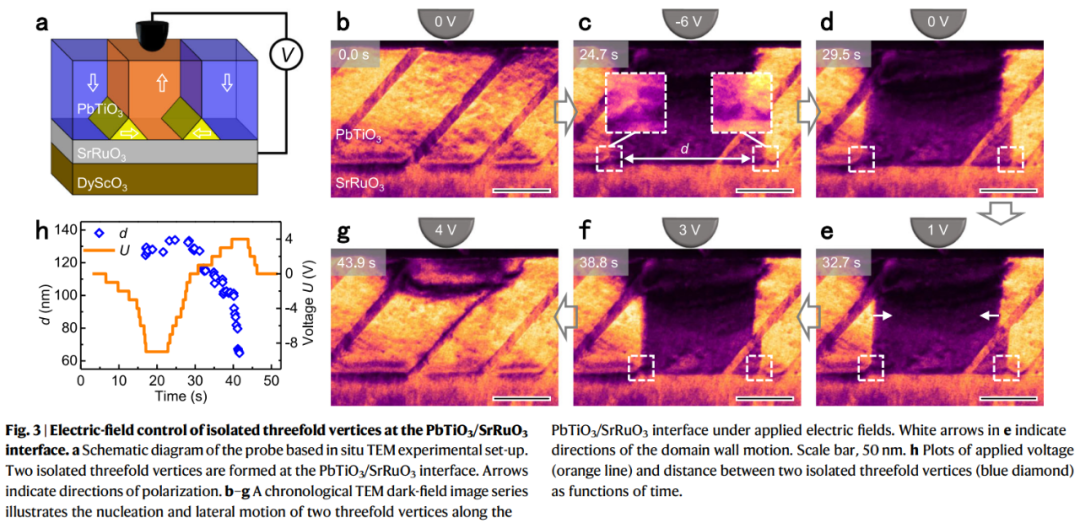研究成果展示 研究成果展示