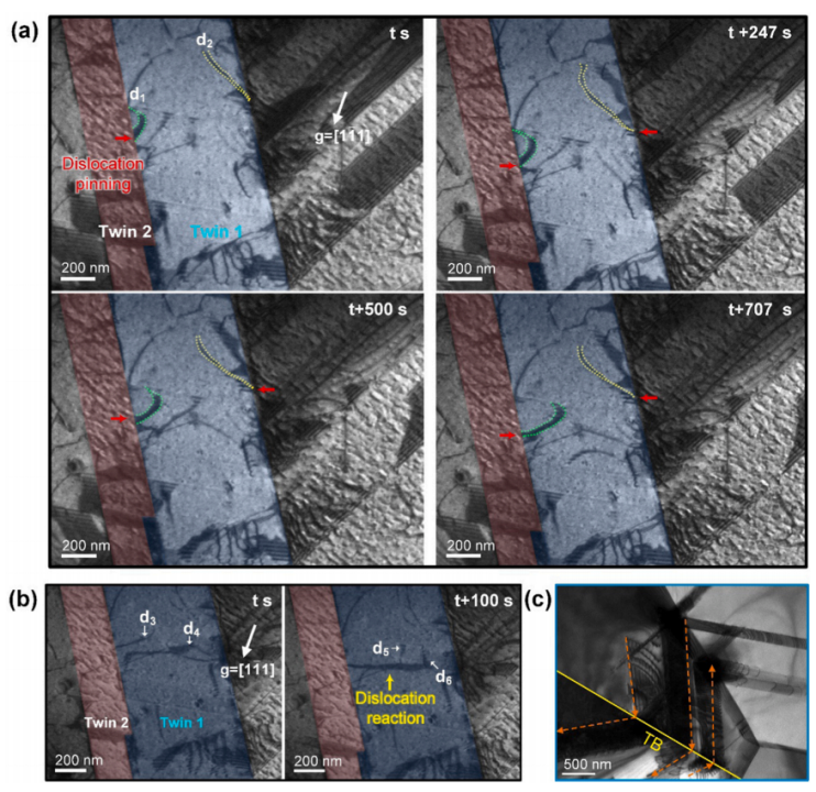 NiCoCrO合金與TWIP HEA的原位TEM拉伸實(shí)驗(yàn)2 NiCoCrO合金與TWIP HEA的原位TEM拉伸實(shí)驗(yàn)2
