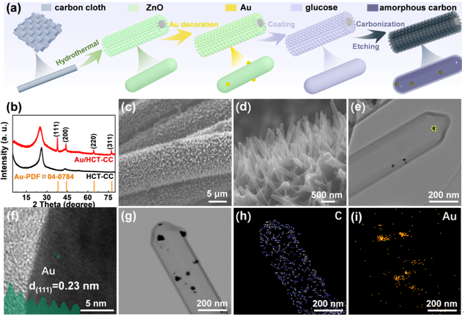 Au/HCT-CC的制備流程圖和SEM、TEM形貌表征