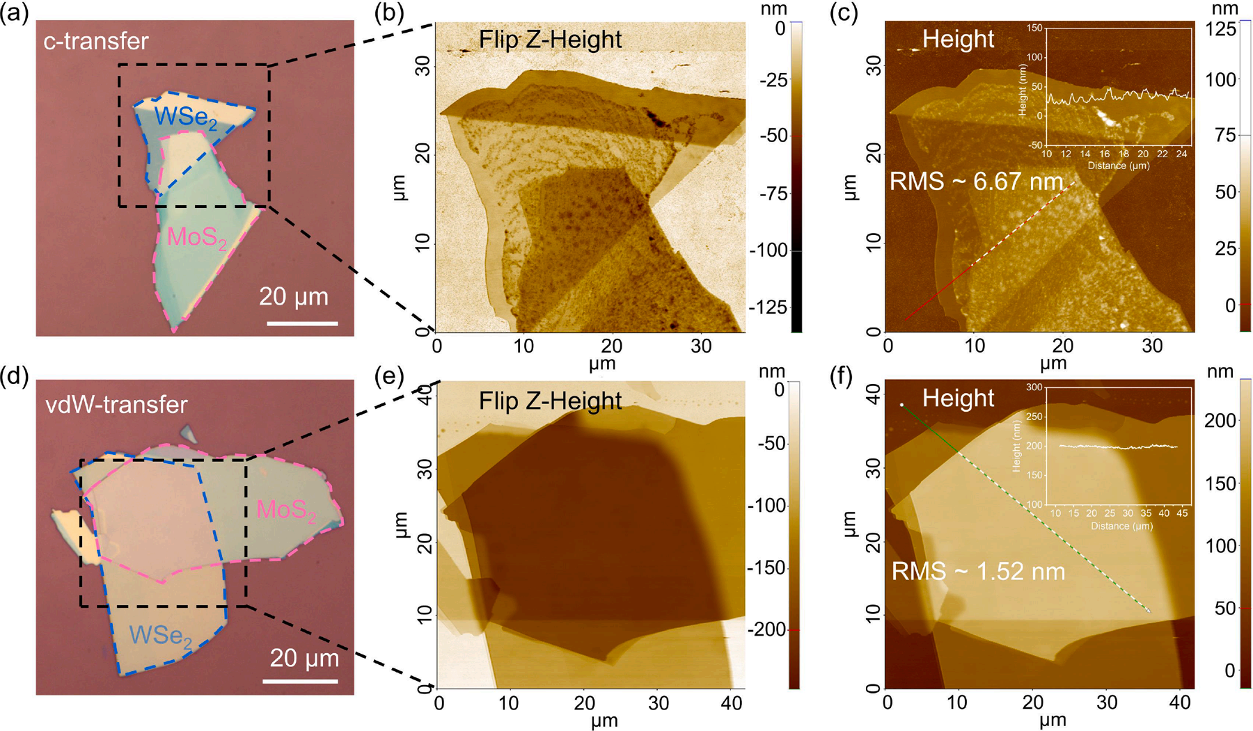 光學(xué)顯微鏡