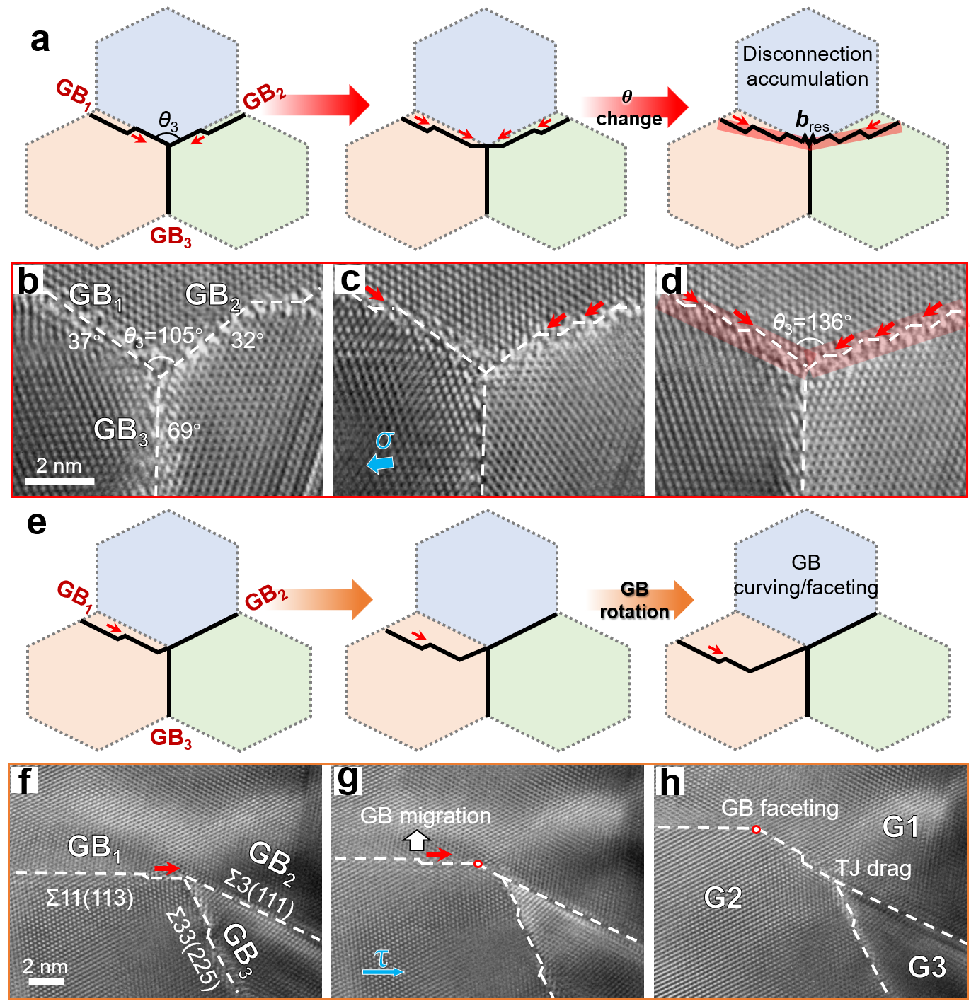 失配位錯介導的TJ形貌轉(zhuǎn)變