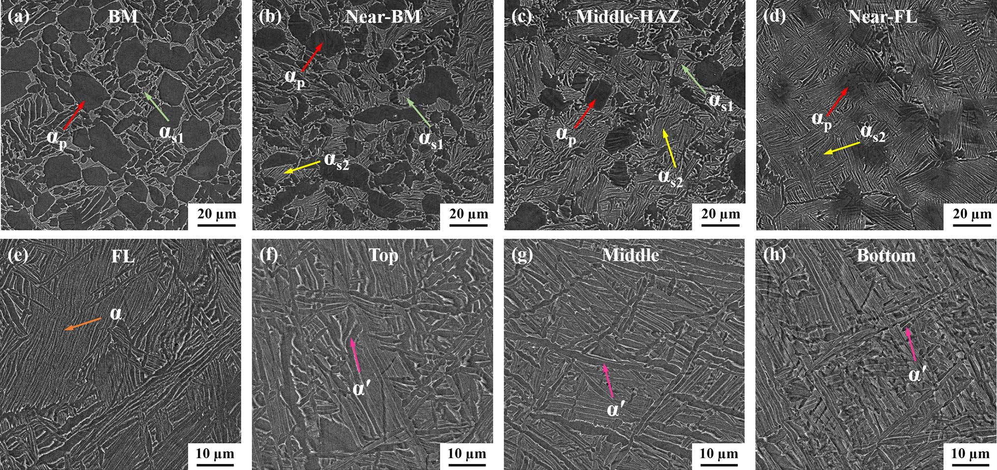 BM及EBW接頭不同區(qū)域的掃描電鏡圖