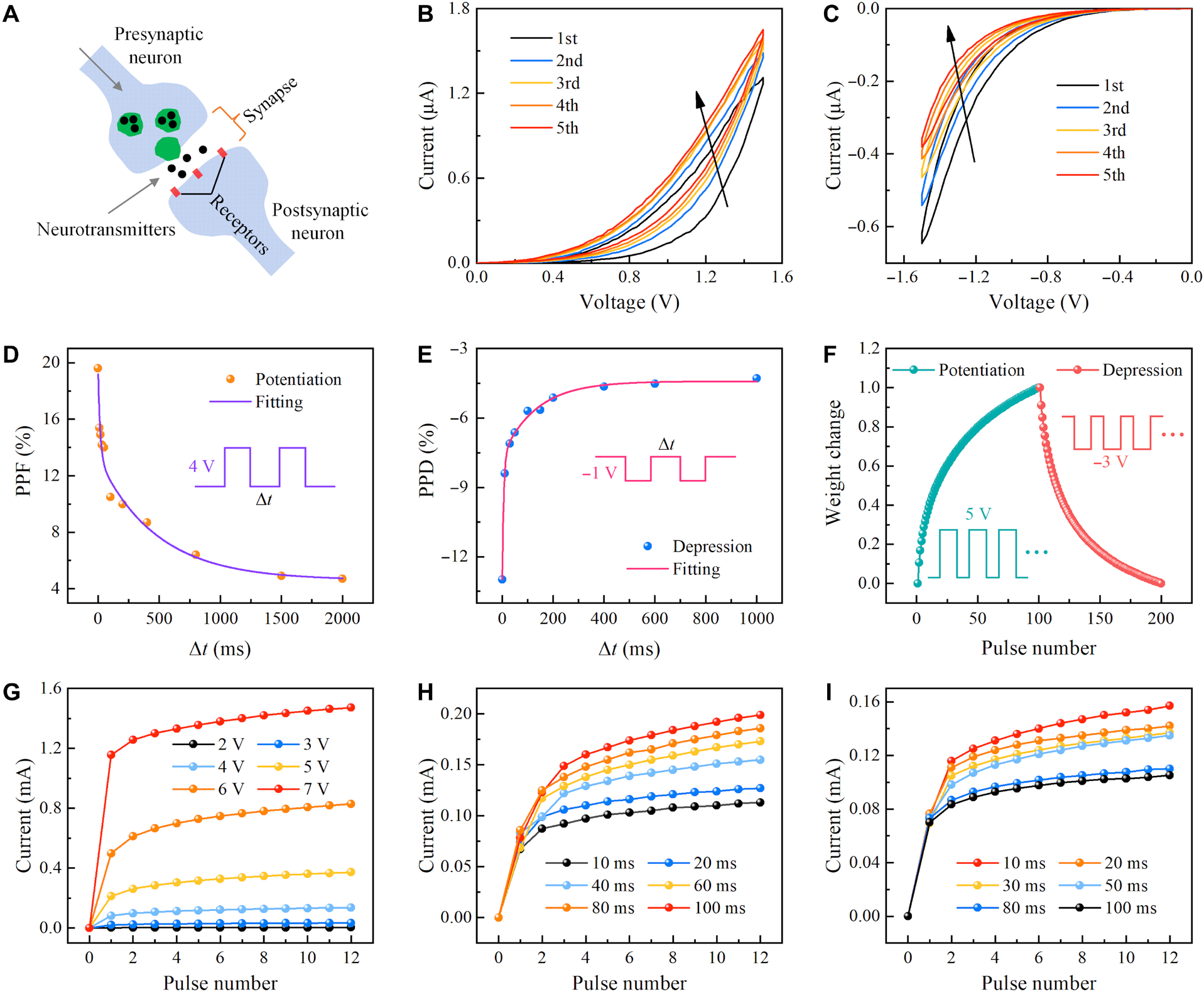 澤攸科技原位TEM 澤攸科技原位TEM