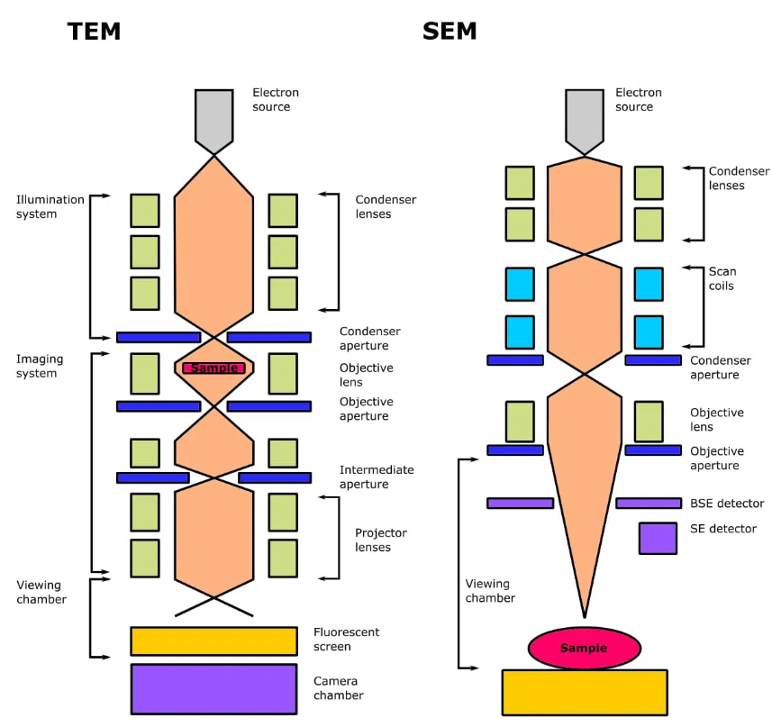 電子顯微鏡技術(shù)