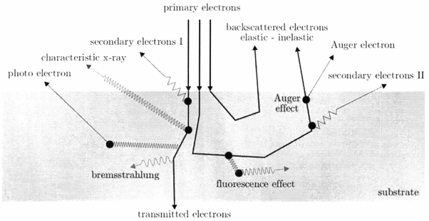 澤攸科技掃描電鏡