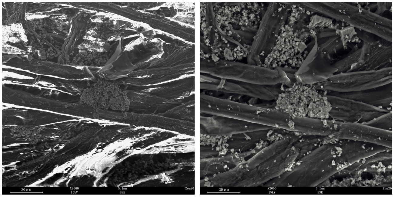 澤攸科技掃描電鏡